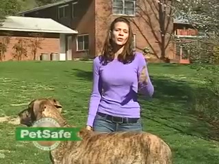 Petsafe In Dog Kennel Instructions Petsafe In Dog Kennel Instructions